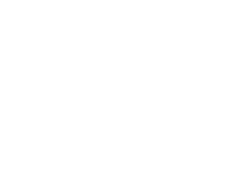 Synthetic Turf
